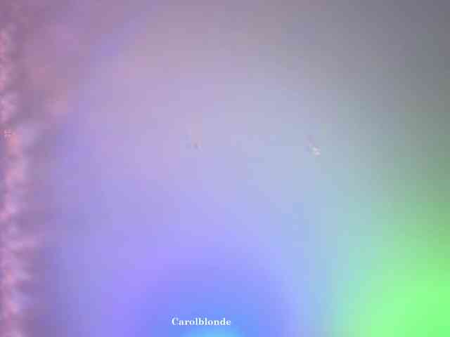 Carolblonde