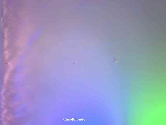 Carolblonde webcam