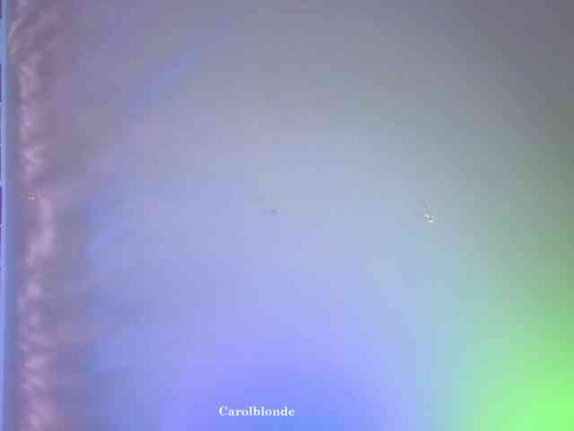 Carolblonde webcam