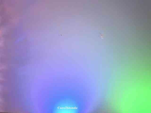 Carolblonde webcam