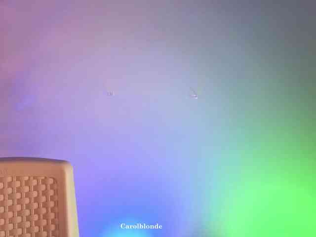 Carolblonde webcam