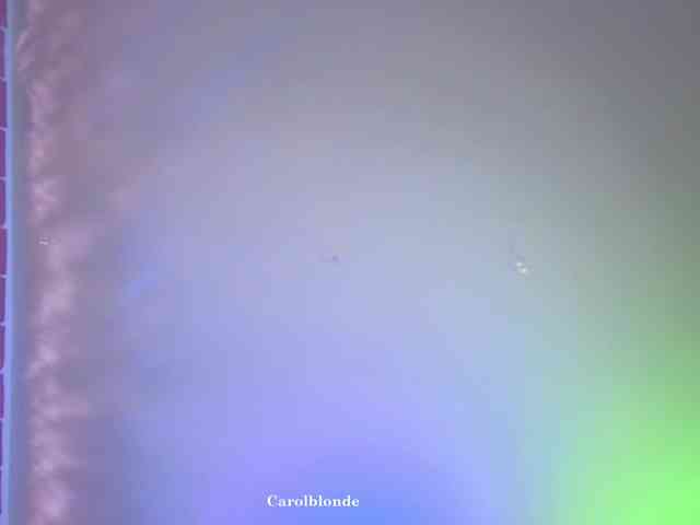 Carolblonde webcam