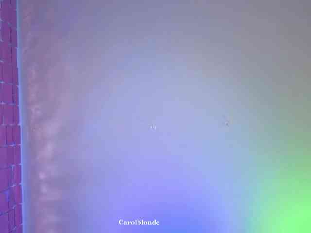 Carolblonde webcam