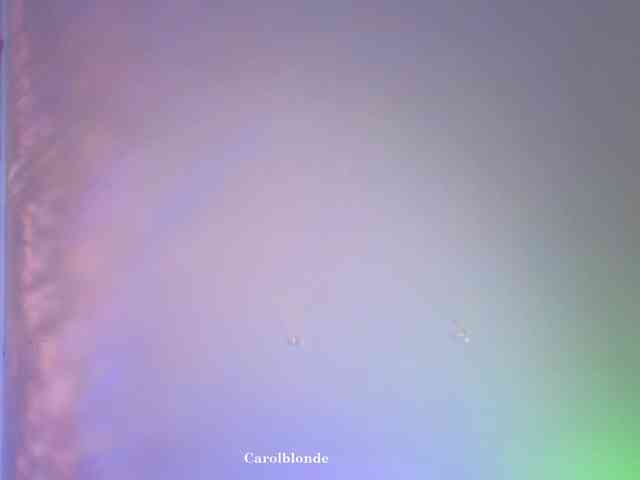 Carolblonde webcam
