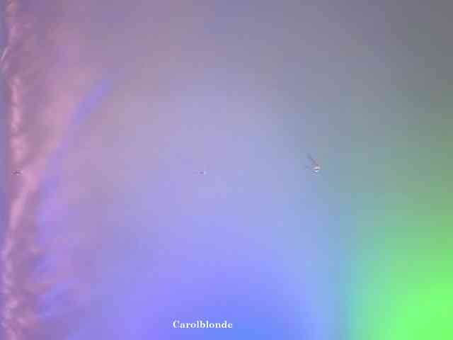 Carolblonde webcam
