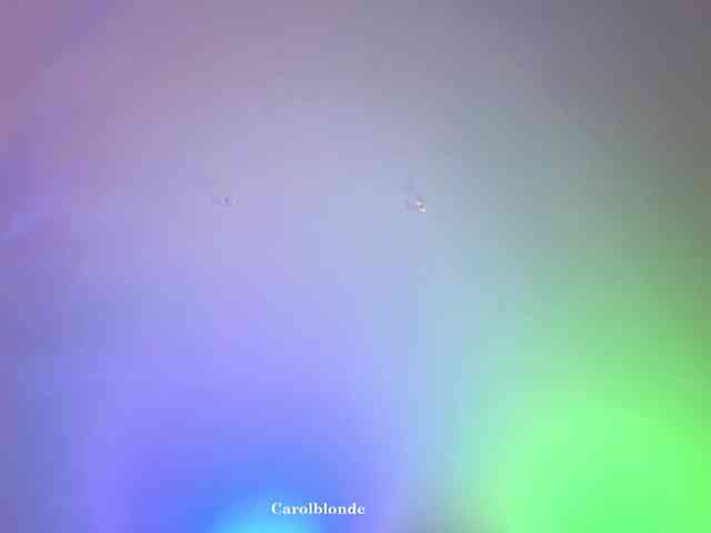 Carolblonde webcam