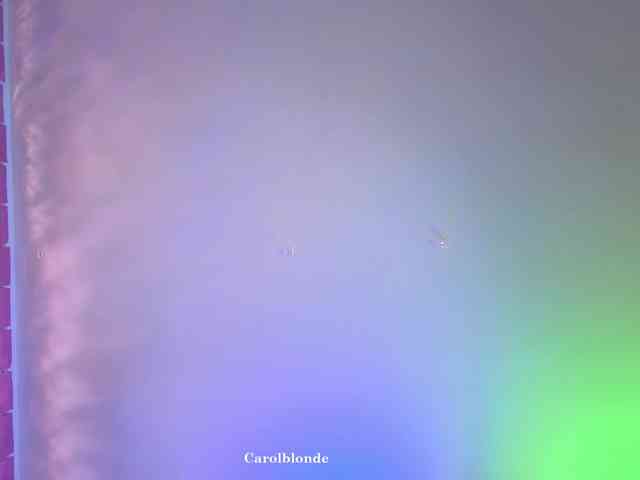 Carolblonde webcam