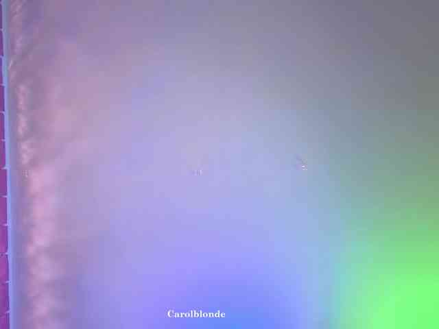 Carolblonde webcam