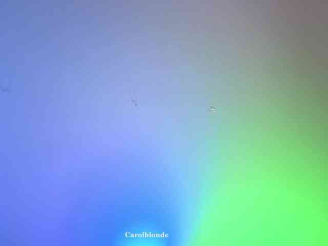 Carolblonde