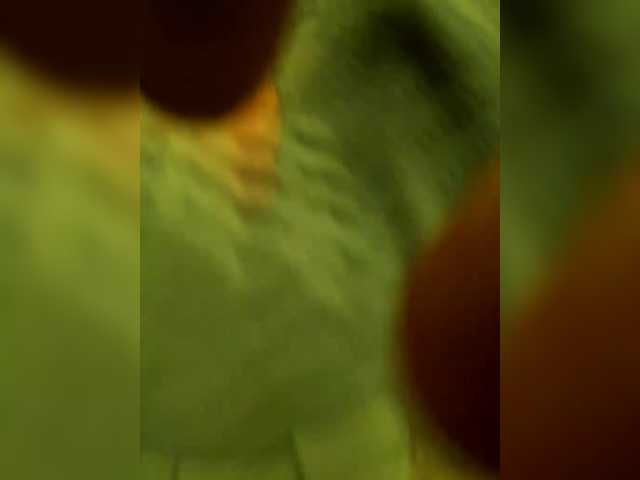 DiiRolla webcam