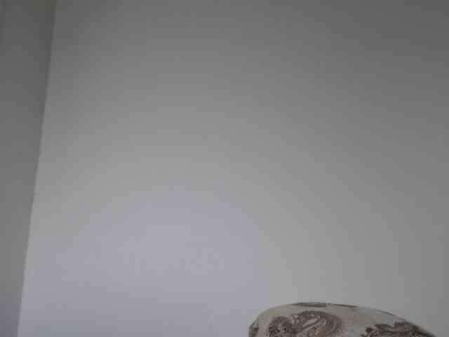 ke-moll webcam