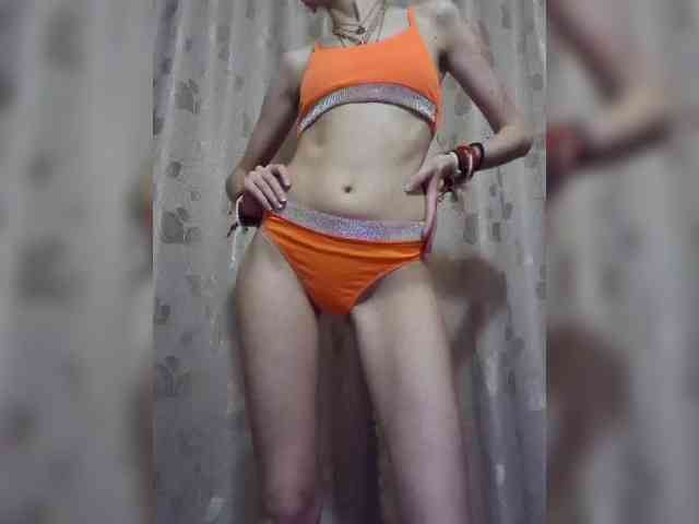 Abogsldndalshekm webcam