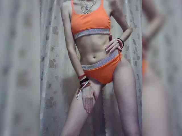 Abogsldndalshekm webcam