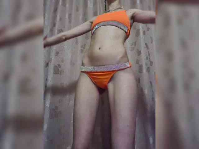 Abogsldndalshekm webcam
