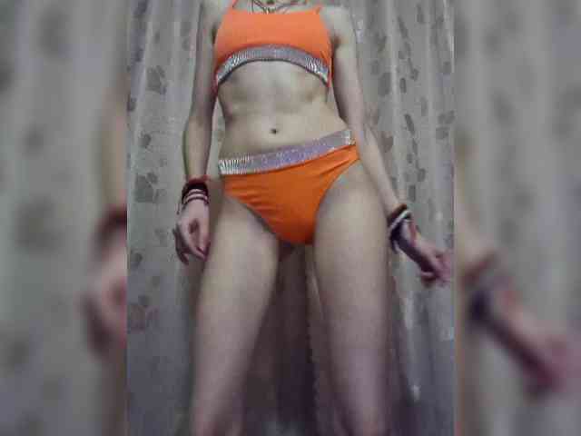 Abogsldndalshekm webcam