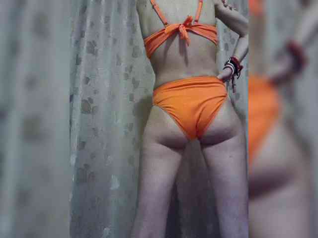 Abogsldndalshekm webcam