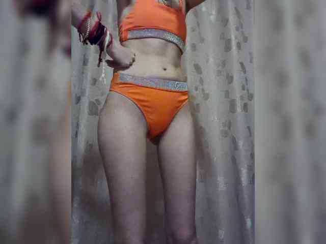 Abogsldndalshekm webcam
