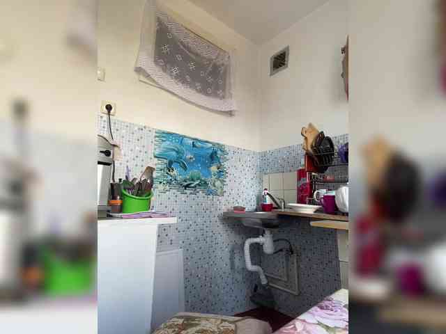 NeZabudka- webcam