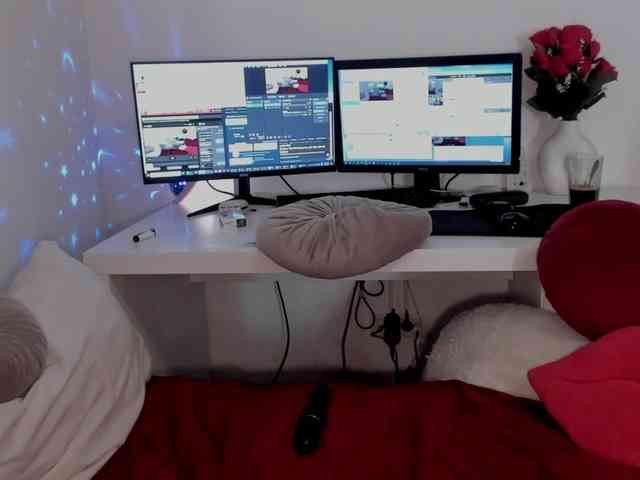 aryahunt webcam