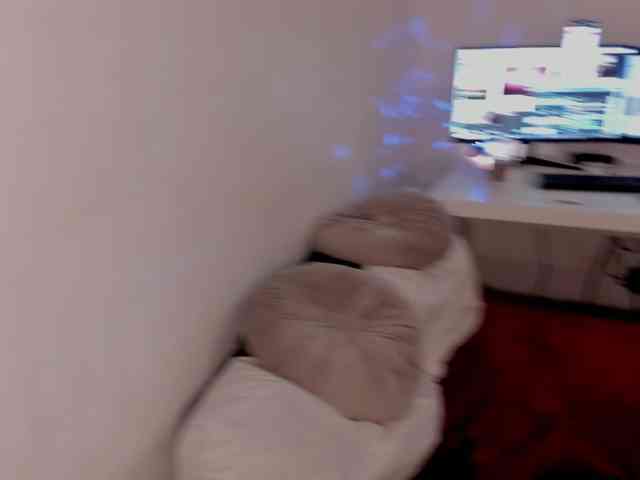 aryahunt webcam