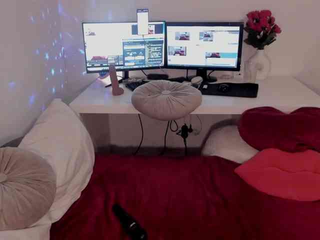 aryahunt webcam