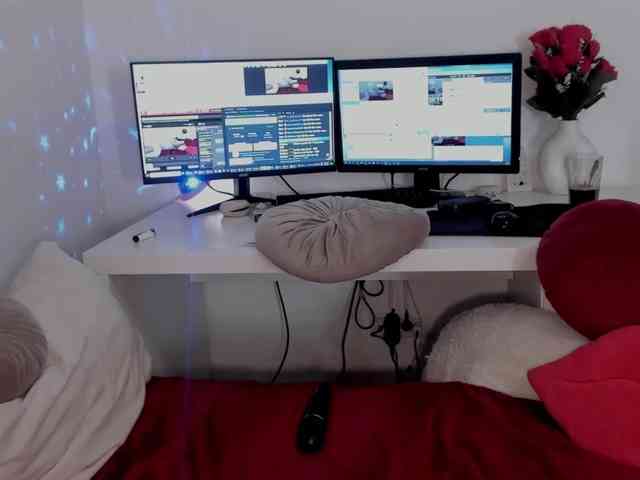 aryahunt webcam