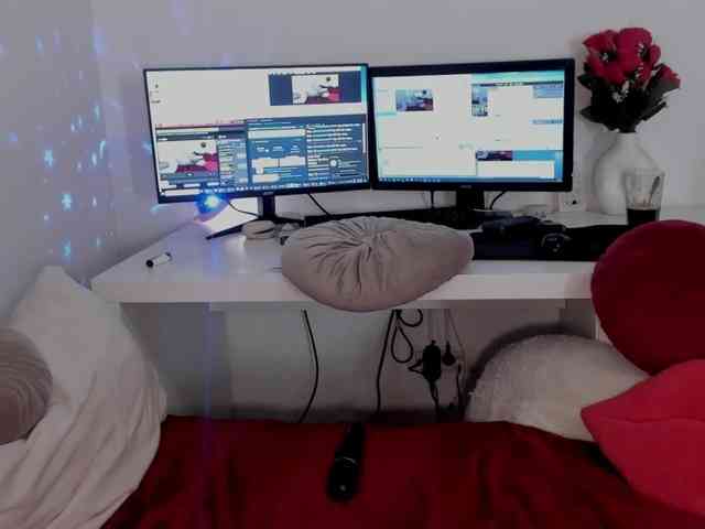 aryahunt webcam