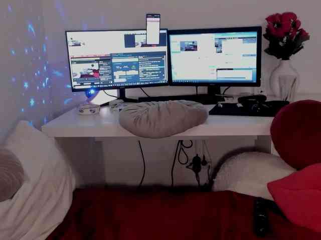 aryahunt webcam