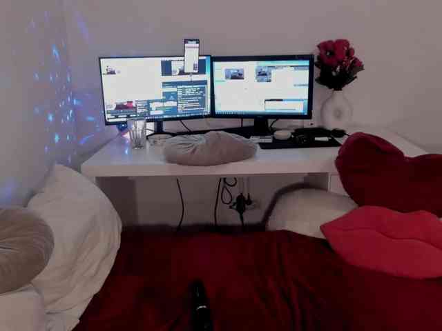 aryahunt webcam