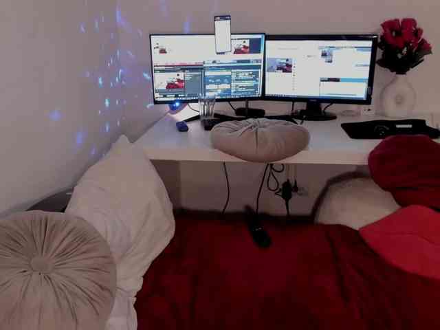 aryahunt webcam