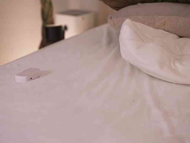 DorisCream webcam