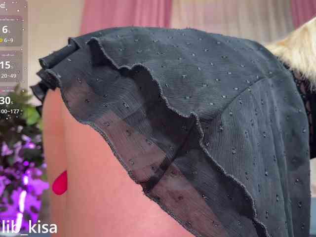 Isilib_kisa webcam