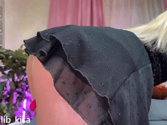 Isilib_kisa webcam