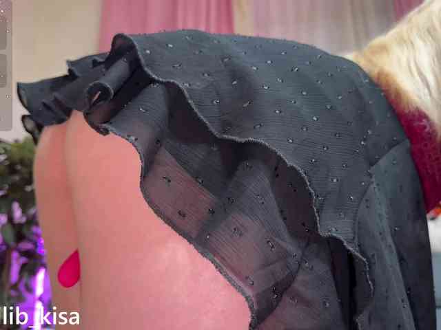 Isilib_kisa webcam