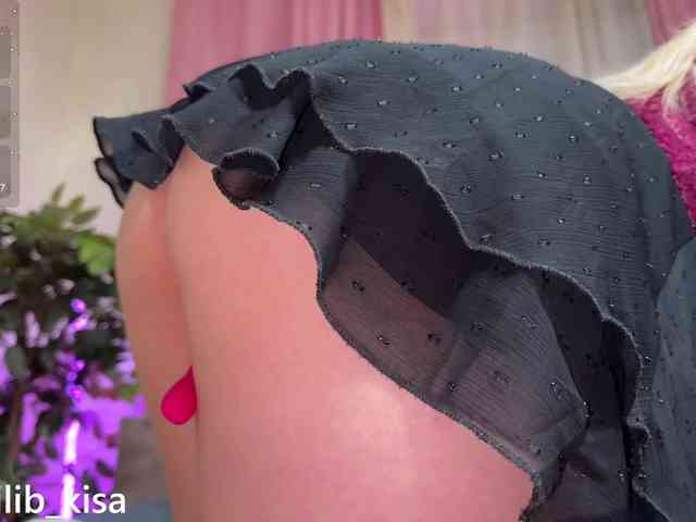Isilib_kisa webcam