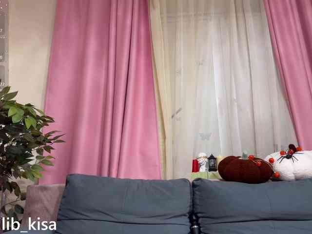 Isilib_kisa webcam