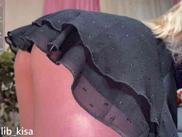 Isilib_kisa webcam