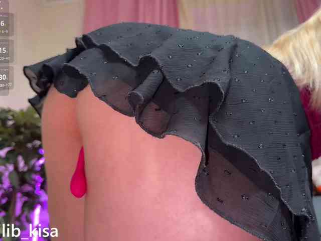 Isilib_kisa webcam