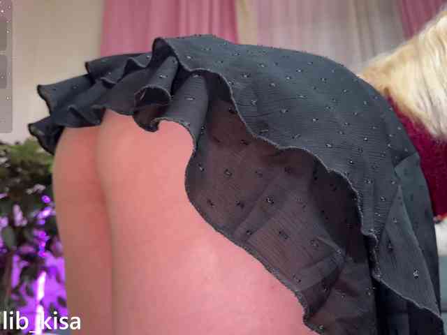Isilib_kisa webcam