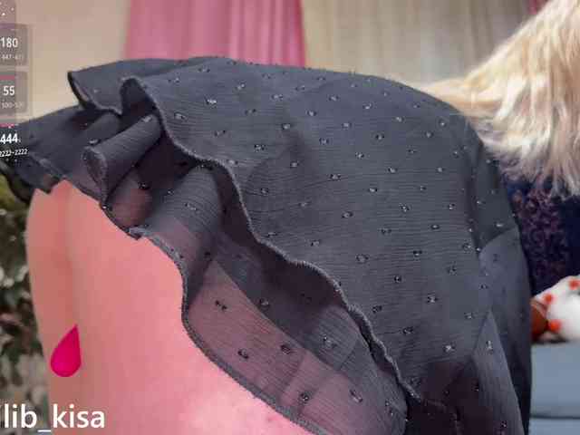 Isilib_kisa webcam