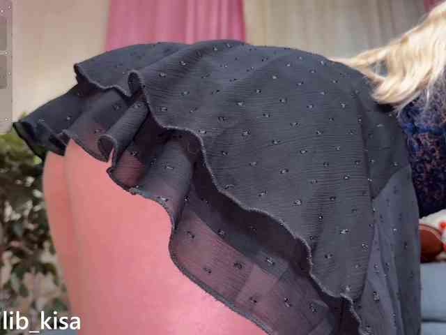 Isilib_kisa webcam