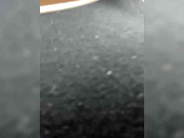britt-grey webcam