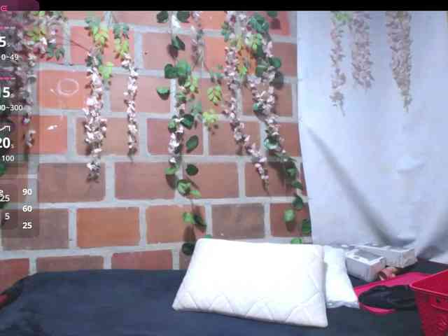 RoosGonzaleX webcam