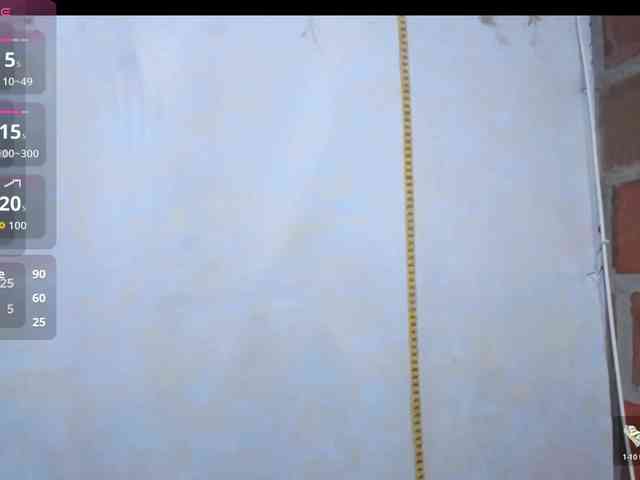 RoosGonzaleX webcam