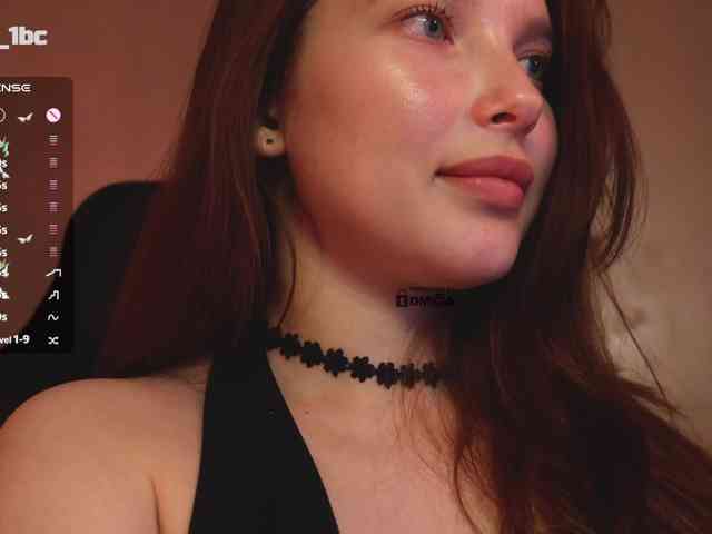 _Q_ webcam
