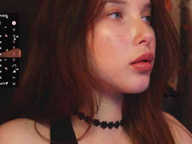 _Q_ webcam