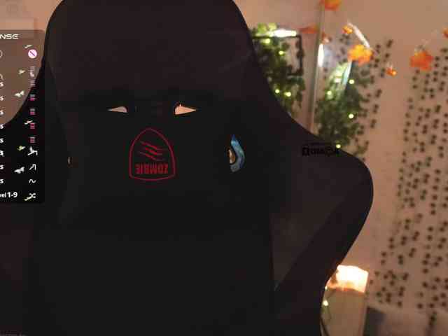_Q_ webcam