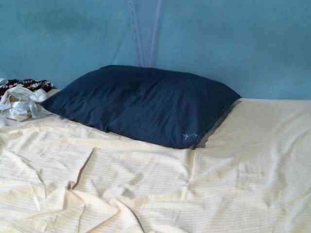 rakisha1 webcam