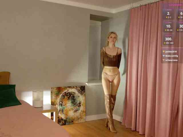 Visbee webcam