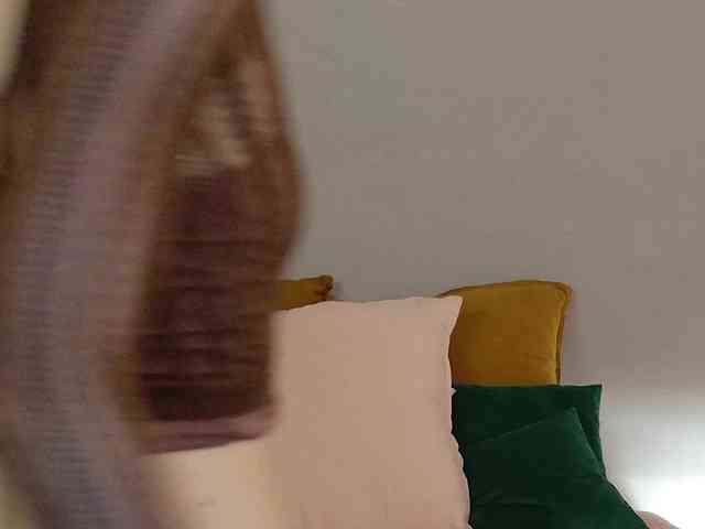 Visbee webcam